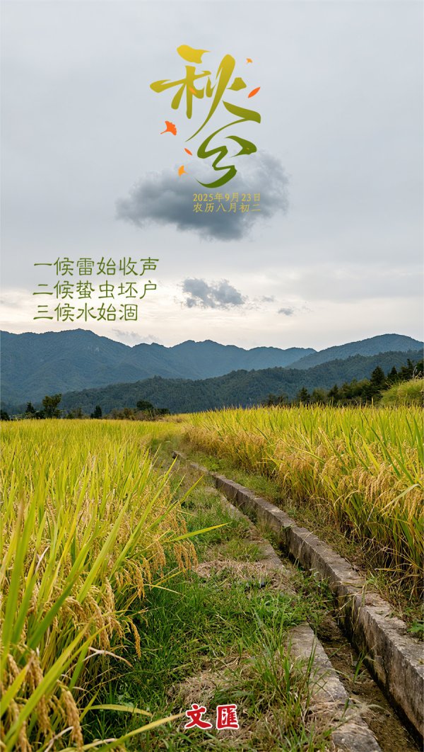 策利配资 文汇海报｜今日秋分！秋色斑斓，一起迎接收获的金秋